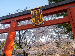 氷室神社の鳥居