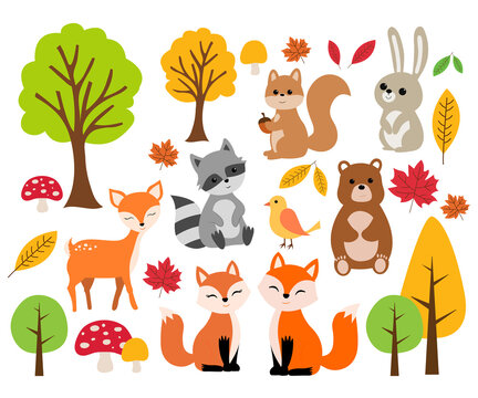 Set of cute forest animals isolated on white background.