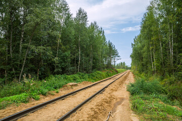 Fototapeta premium Railroad through the forest in the countryside. Russia