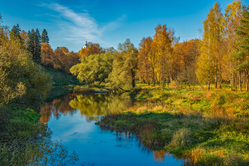 Autumn forest by the river, beautiful nature