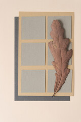 paper squares and oak leaf