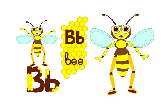 Letters B b, picture of a bee, English alphabet, color illustration, bees and honeycomb, white background