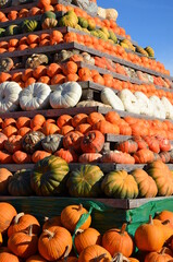 pumpkin pyramid