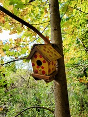 birdhouse on tree