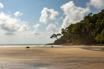 Jeribucaçu beach, in Itacaré, Bahia - Brazil. Beautiful landscape with rocks and coconut trees
