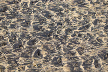 Wet monazitic black sand texture on the beach - Brazil