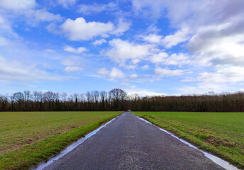 road in the countryside