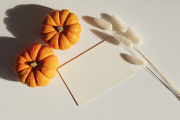 Happy Thanksgiving day greeting card mockup with orange pumpkins and dry Lagurus grass on white table, top view. Autumn, fall concept.