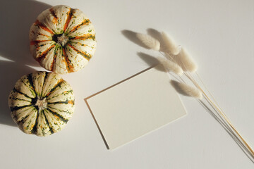 Blank paper card, dry Lagurus grass, pumpkins on white table, top view. Happy Thanksgiving day greeting card design.