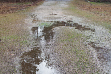 Pubbles of water in a rural drive way