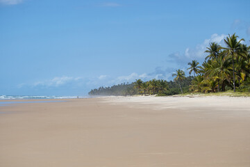 "Itacarezinho" beach in Itacaré, Bahia, Brazil - beautiful natural landscape, deserted beach