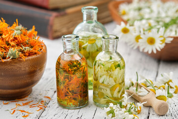 Bottles of chamomile and calendula essential oil or infusion, mortars of dried calendula and daisy flowers, wooden scoop of plucked chamomile flowers. Alternative herbal medicine, aromatherapy. - obrazy, fototapety, plakaty