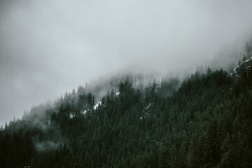 Fog and clouds hang low over the trees and snowy mountains of Washington's Snoqualmie Pass