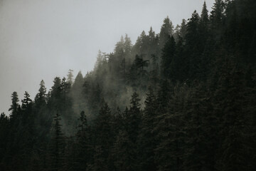 Fog and clouds hang low over the trees and snowy mountains of Washington's Snoqualmie Pass