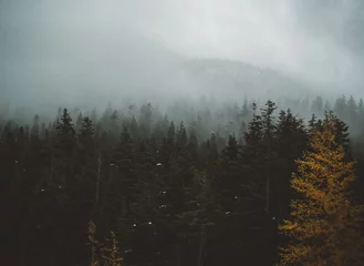 Foto op Plexiglas Mistig bos Fog and clouds hang low over the trees and snowy mountains of Washington's Snoqualmie Pass