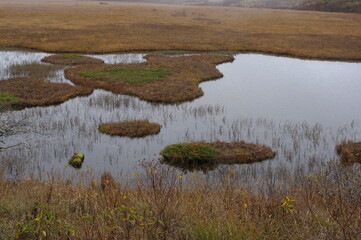 八島ヶ原湿原 七島八島 K3CP1752