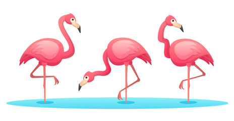 Set of flamingo in various poses cartoon illustration