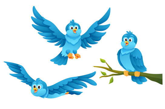 Cute blue bird in various poses cartoon illustration