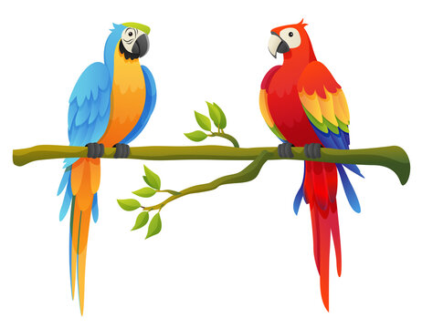 Cute macaw parrot birds set perched on a branch cartoon illustration