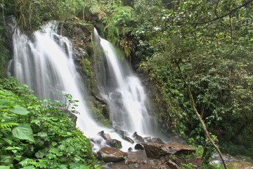 Long exposure of a bridal veil type waterfall surrounded by plants