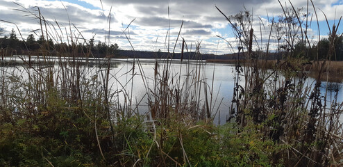 reflection in the water