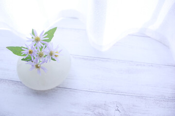 白いカーテンと花瓶に生けた野菊