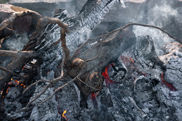 Close-up of large logs of a tree in a dying fire.