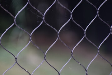 Closeup of Steel Wire Fencing 