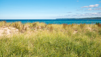 Fototapeta na wymiar Dunes and grasses on the beach at Sleeping Bear Bay, Michigan.