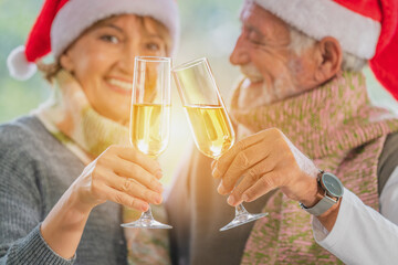 senior couple celebrate Christmas together with white wine