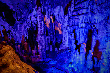 Beautiful Scenic View of a Florida Cavern