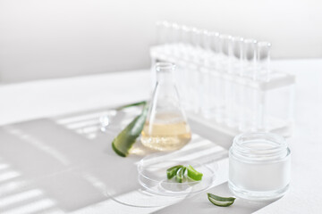 aloe vera face cream and slices of aloe leaf in a petri dish on laboratory table. medical glassware. medical cosmetics for problem skin. beauty care concept.