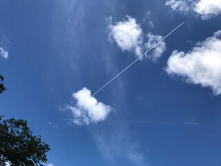 青空を切り裂く飛行機雲