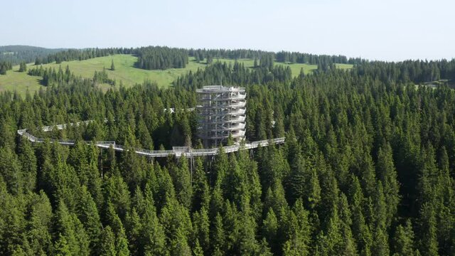 High Tower At Pohorje Treetop Walk In Middle Of Lush Gren Trees In Forest In Rogla, Slovenia. - aerial