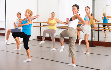 Fototapeta na wymiar Positive women practicing vigorous dance movements in group dance class