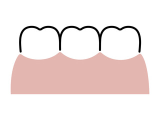 綺麗な白い歯（並び）／シンプルな線画