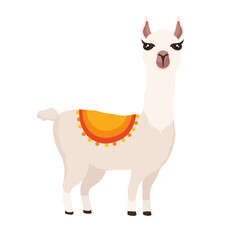 peruvian alpaca animal