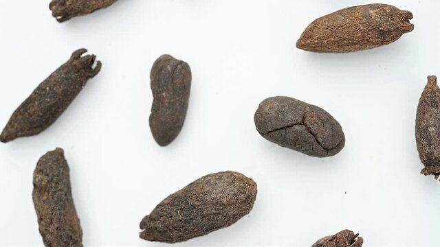 top view herb MuDingXiang or Flos Caryophyllata or Clove rotating
