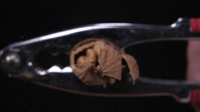 crush walnut with nut cracker slow motion