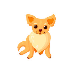 Sitting chihuahua pet. Purebreed dog companion isolated in white background. Vector illustration in cute cartoon style