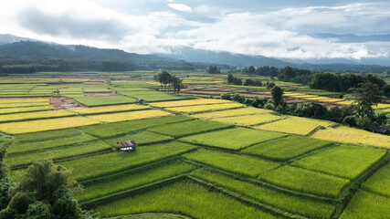 There were a lot of small houses in the rice fields. Northern Thailand's agricultural and rural areas