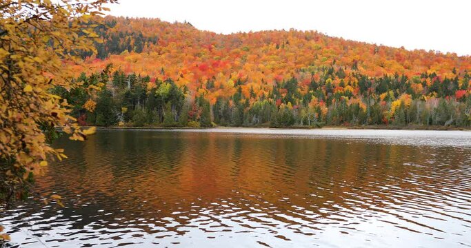 Stunning wide angle of the fall colors coming in near a Lake in Rangely Maine, USA.