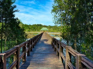 Obraz premium wooden bridge in the forest wooden bridge on the lake