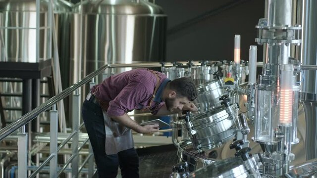 Young male brewer wearing a leather apron supervise the process of beer fermentation at a modern brewery factory