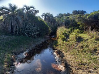 arroyo en la playa