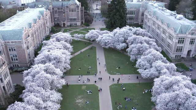 University Of Washington, United States