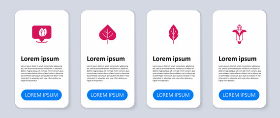 Set Corn, Leaf, and Location with leaf. Business infographic template. Vector