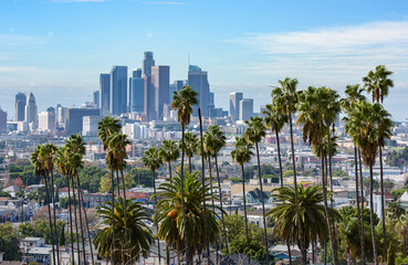 Fototapeta na wymiar Cloudy day of Los Angeles downtown skyline and palm trees in foreground