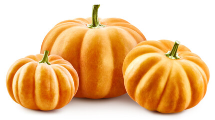 Pumpkin isolated on the white background. Fresh pumpkin Clipping path. Pumpkin macro studio photo