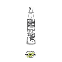 Rosemary flavoured olive oil bottle, hand drawn vector illustration.